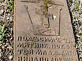 SDC11017.jpg