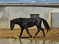 DSC_0139.jpg