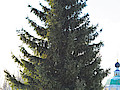 DSC_0169.jpg