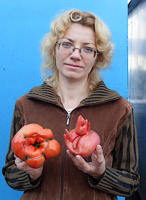 Новости Ливны -