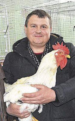 Новости Ливны -В. И. Мухин с курами брама (фото автора).