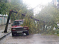 100_3321.jpg