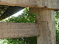 P1030231.jpg