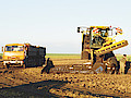 DSC_0013.jpg