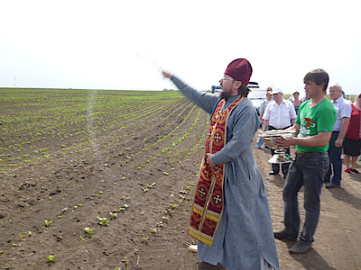 Новости Ливны -Отец Роман (Куманский) освящает посевы в Навесном (фото А.Е. Сорокина).
