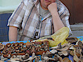 SDC13545.jpg