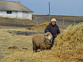 DSC_0031.jpg