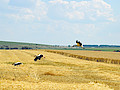 DSC_0062.jpg