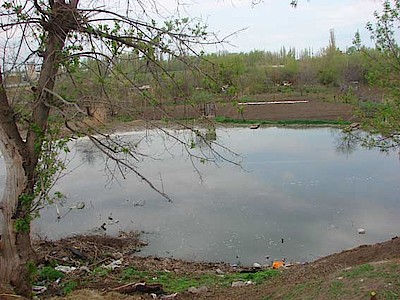 Новости Ливны -Злополучный пруд.