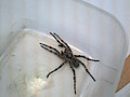 20140828_151922.jpg