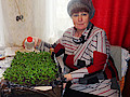 DSC01881.jpg