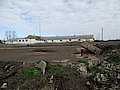 DSCF9005.jpg