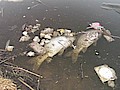 336_(1).jpg