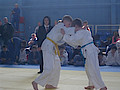 SDC10389.jpg