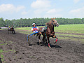 IMG_4128.jpg