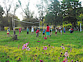 P1260753.jpg