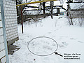IMG_5665.jpg