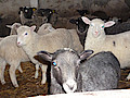 P1010358.jpg