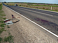 P1050459.jpg