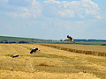 DSC_0062.jpg