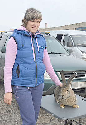 Новости Ливны -Елена Теплова с кроликом фландером.