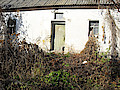 SDC12768.jpg