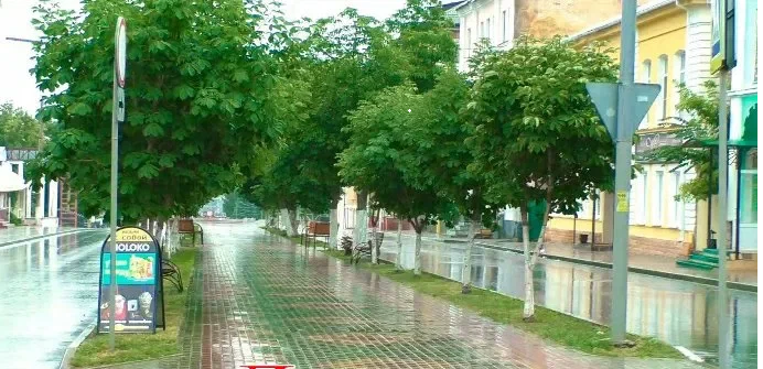 Последняя рабочая неделя июля в Орловской области будет дождливой