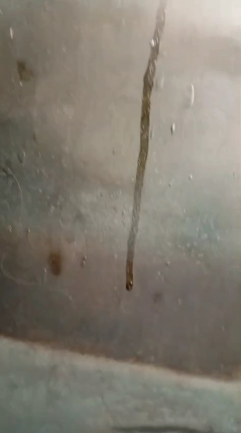 video_2025-07-15_12-33-15.mp4_snapshot_00.13.jpg