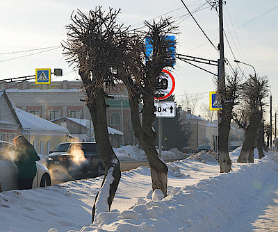 Новости Ливны -Обрезанные деревья по ул.К.Маркса. Фото М.Нестеровой.