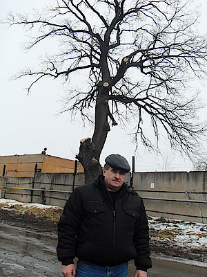 Новости Ливны -С. Я. Шебанов на фоне дуба 13 февраля.