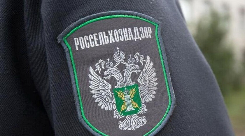 В Ливнах пресечена торговля ветпрепаратами без лицензии
